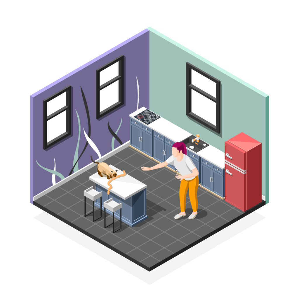 αποφράξεις αποχετεύσεων